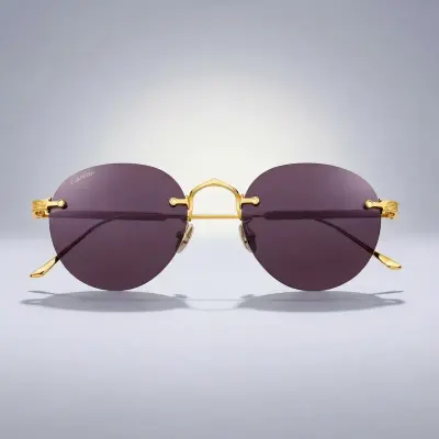 الإكسسوارات